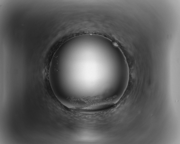 X0000088901495200706081256