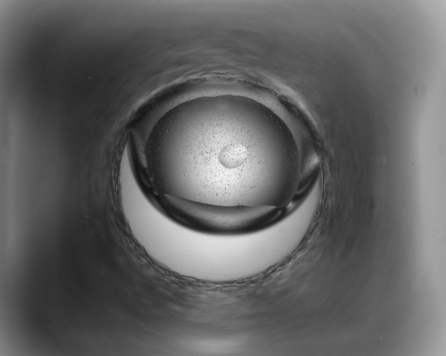 X0000088901496200706081256