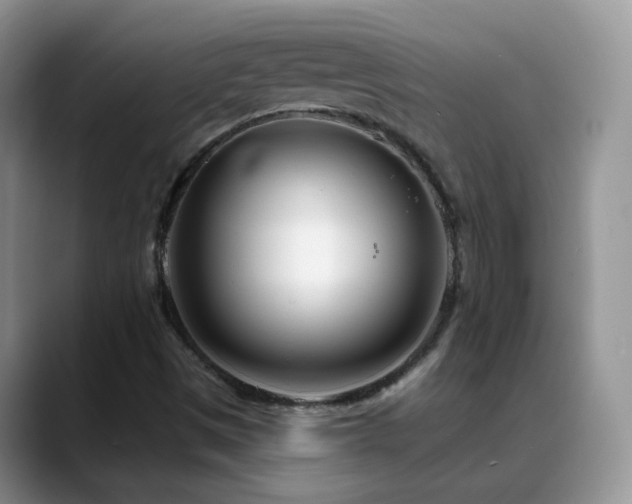 X0000088901497200706081256