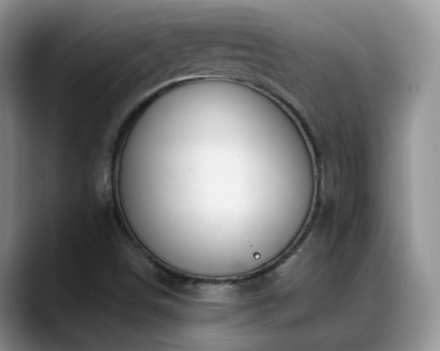 X0000088901498200706081256
