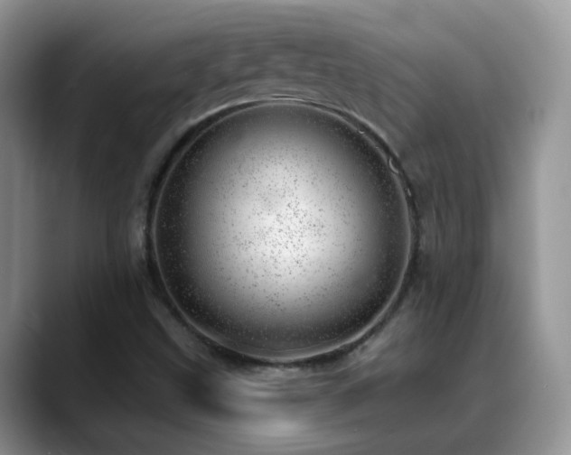 X0000088901499200706081256