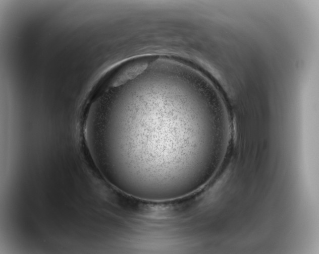 X0000088901501200706081256