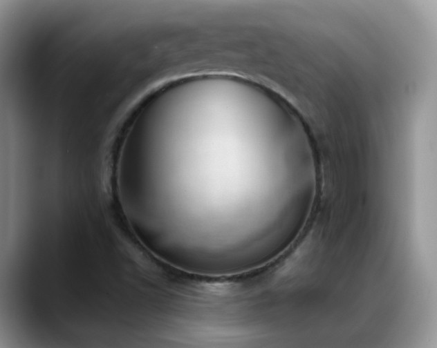 X0000088901502200706081256