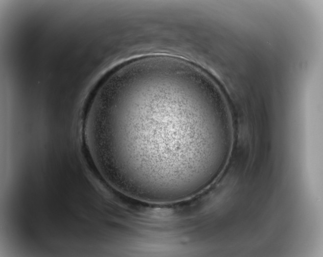 X0000088901503200706081256