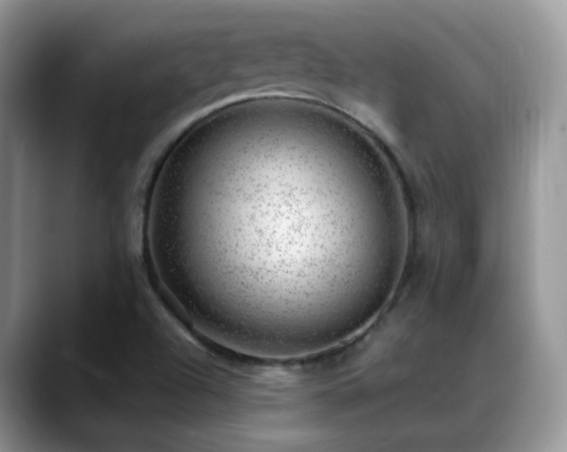 X0000088901504200706081256