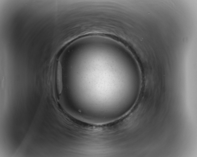 X0000088901505200706081256