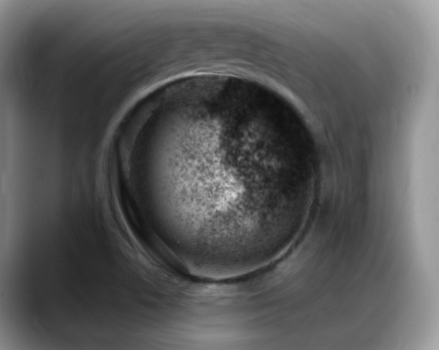 X0000088901506200706081256
