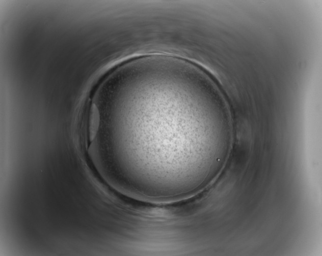 X0000088901507200706081256