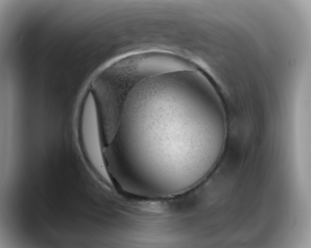X0000088901508200706081256