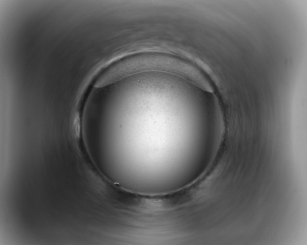 X0000088901509200706081256