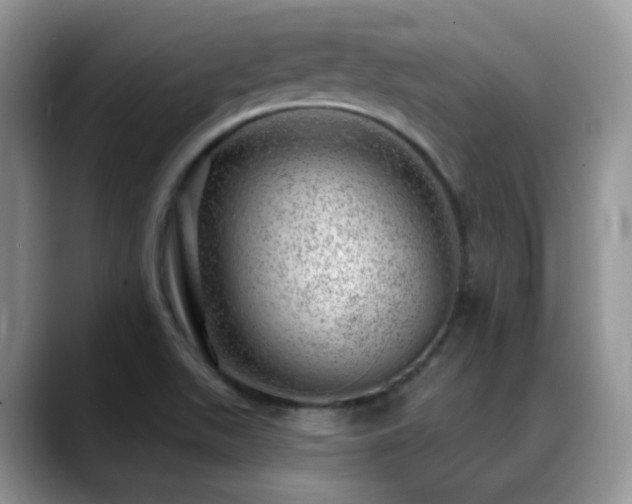 X0000088901511200706081256