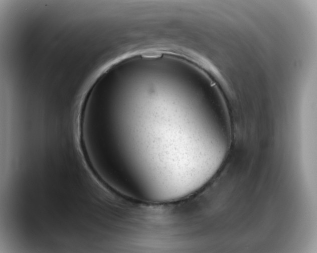 X0000088901512200706081256