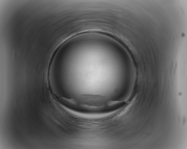 X0000088901513200706081256