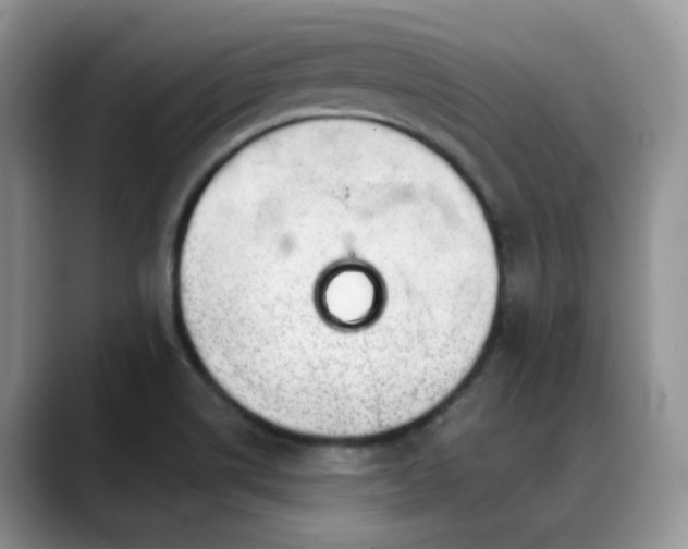 X0000088901514200706081256