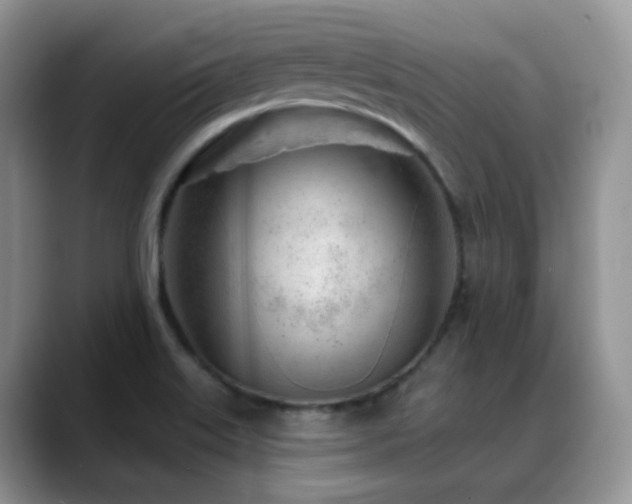 X0000088901515200706081256