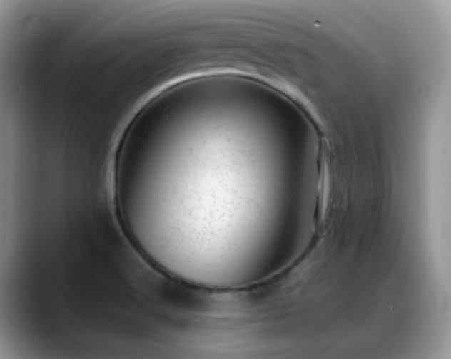 X0000088901516200706081256