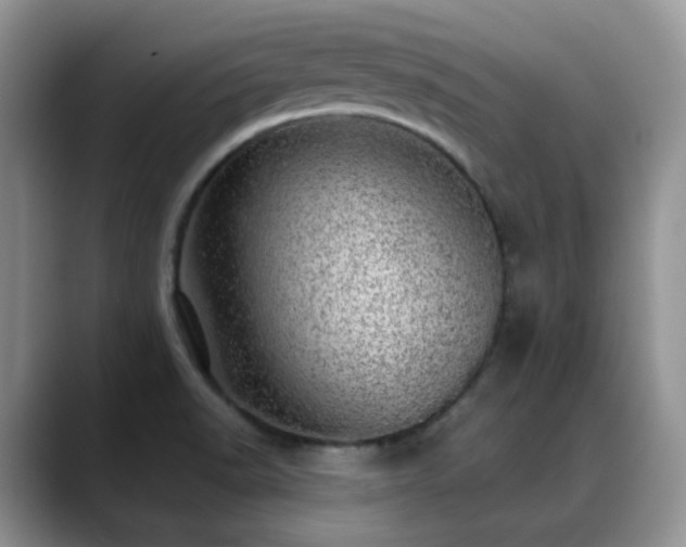 X0000088901518200706081256