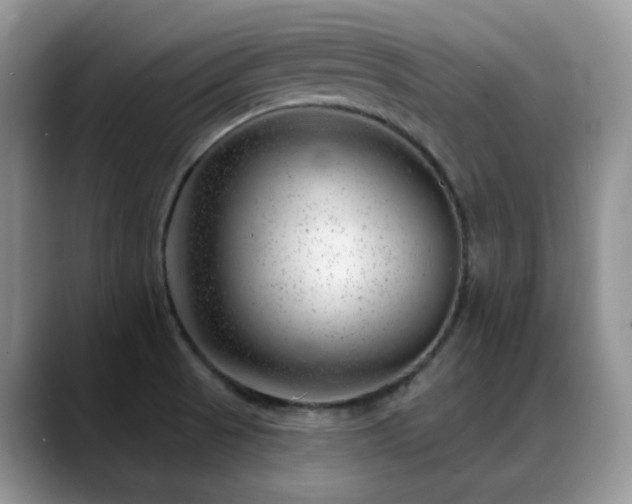 X0000088901521200706081256