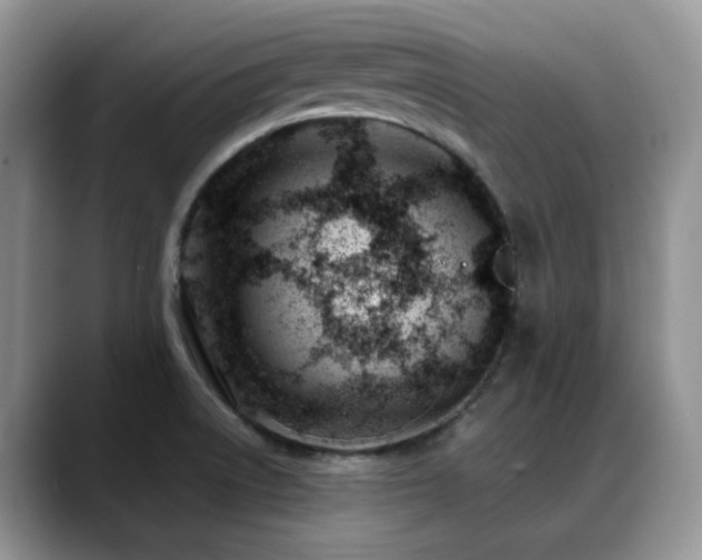 X0000088901522200706081257