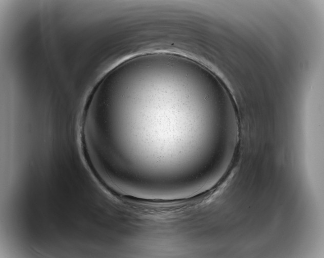 X0000088901525200706081257