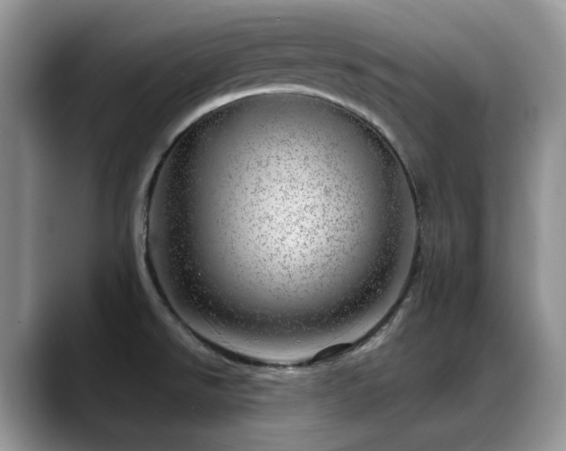 X0000088901526200706081257