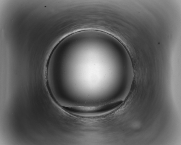 X0000088901527200706081257