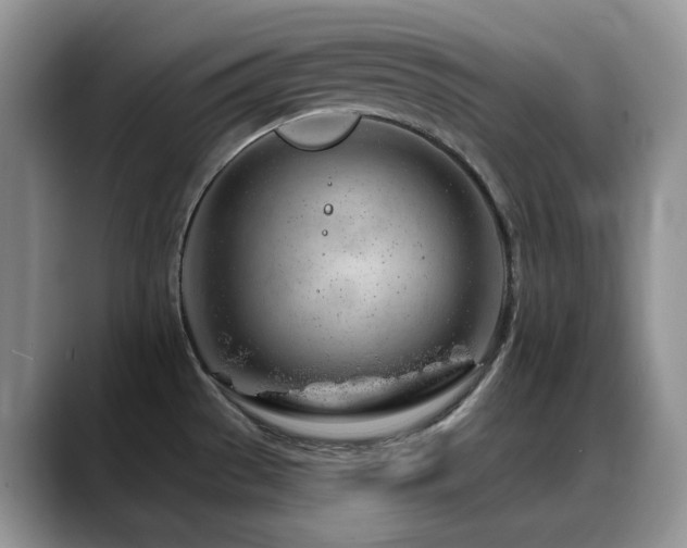 X0000088901529200706081257