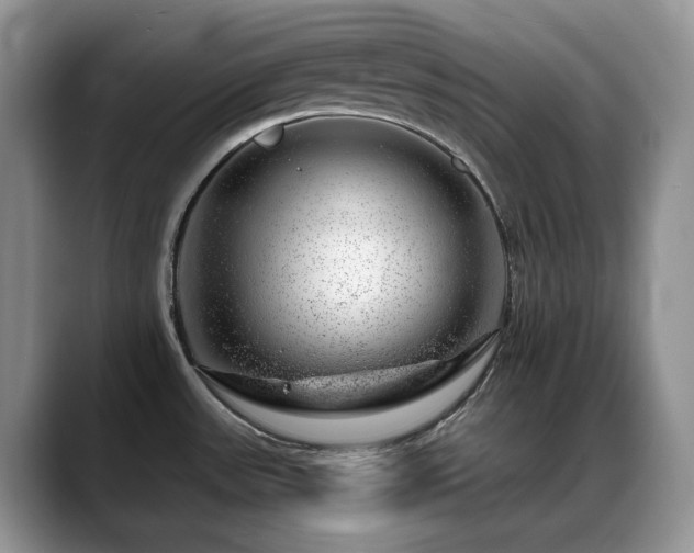 X0000088901531200706081257