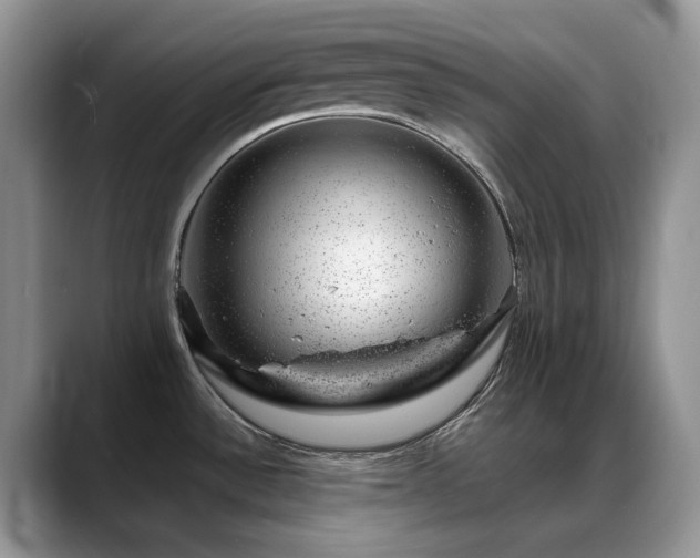 X0000088901532200706081257