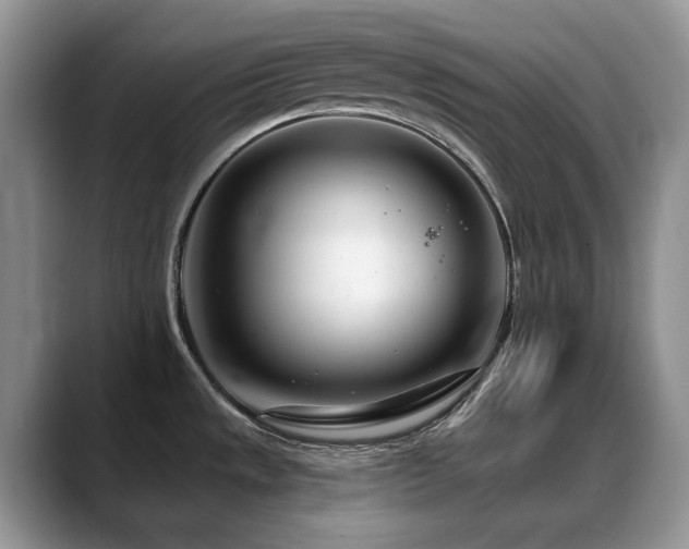 X0000088901533200706081257