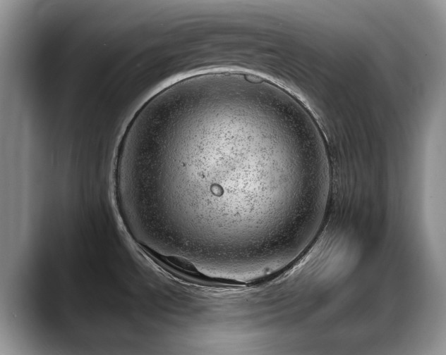 X0000088901534200706081257