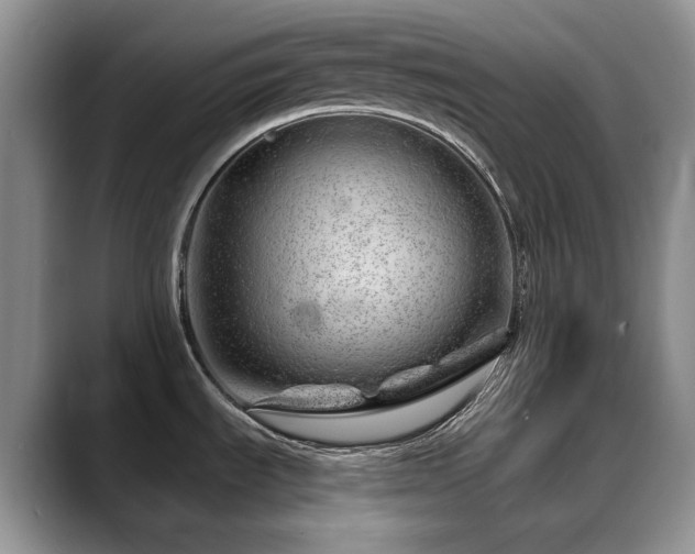 X0000088901535200706081257