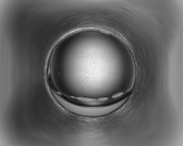 X0000088901536200706081257