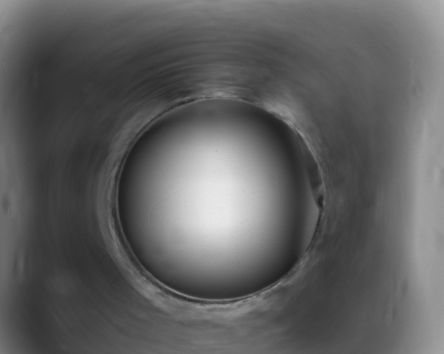 X0000088900001200706151856