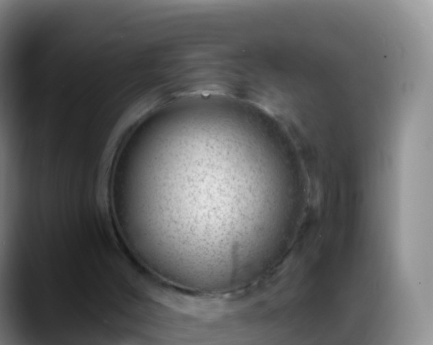 X0000088900004200706151856