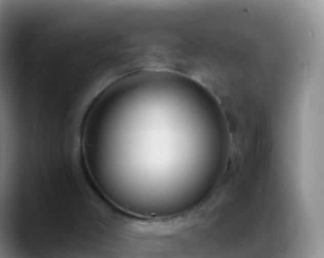 X0000088900005200706151856