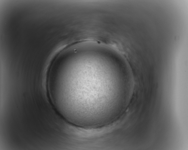 X0000088900006200706151856