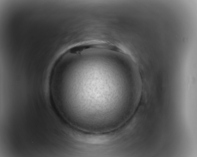 X0000088900008200706151856
