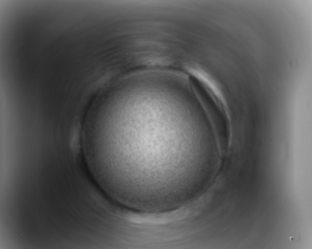 X0000088900009200706151856