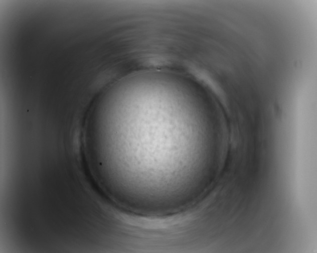 X0000088900010200706151856