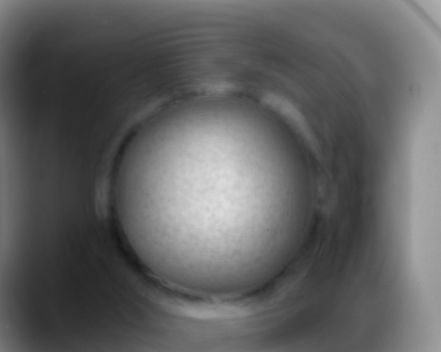 X0000088900012200706151856