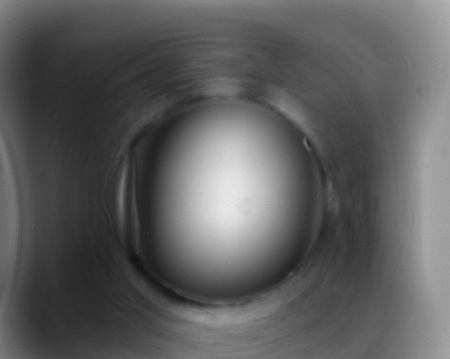 X0000088900013200706151856