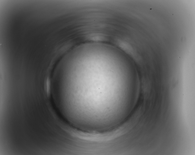 X0000088900014200706151856
