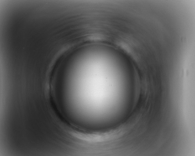 X0000088900015200706151856
