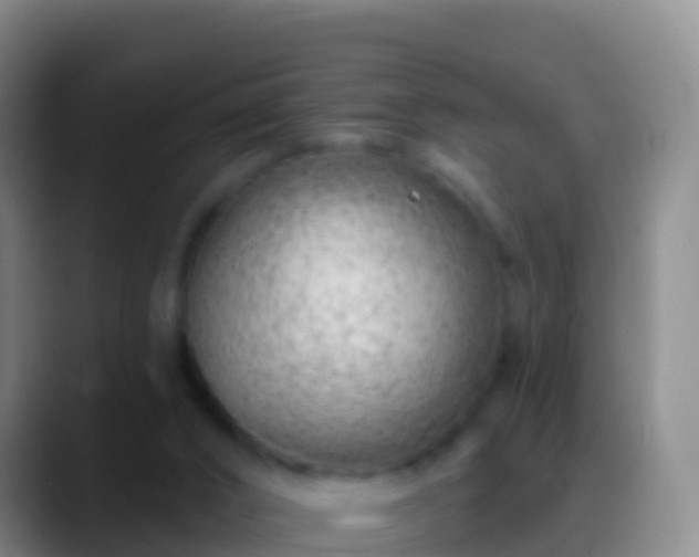 X0000088900016200706151856