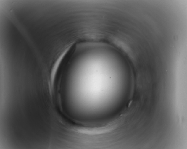 X0000088900017200706151856