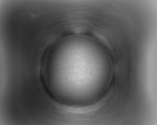 X0000088900018200706151856
