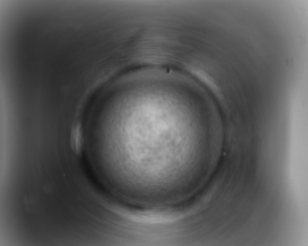 X0000088900020200706151856