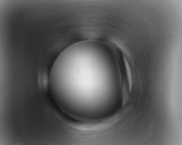 X0000088900021200706151856