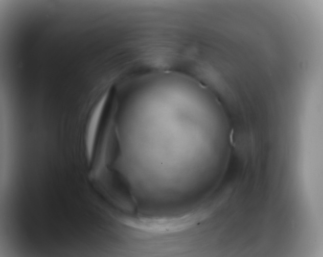 X0000088900023200706151856